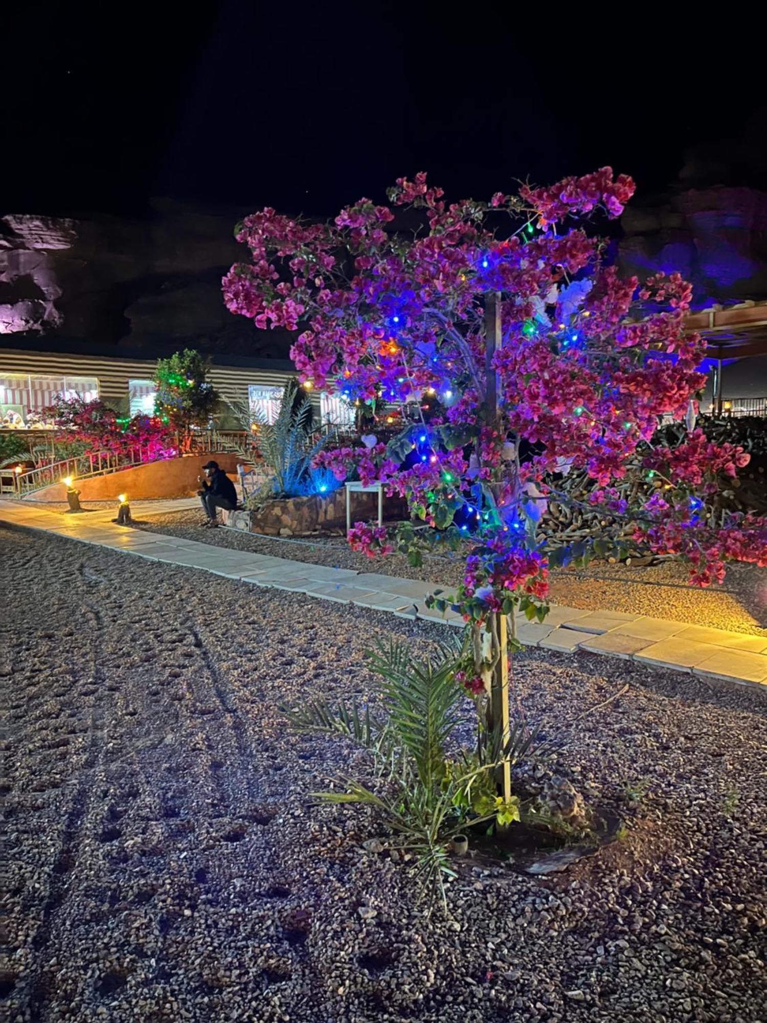 Moon Magic Valley Apartment วาดิรัม ภายนอก รูปภาพ